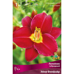 ����  �������� ��������� ���� �������, ������ �� 368 ���