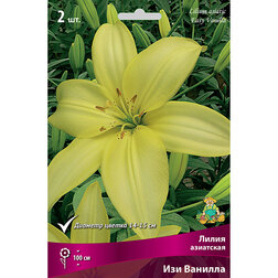 ����  ����� ��������� ��� ������ (2 ��.), ������ �� 438 ���