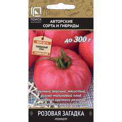 ����  ����� ������� �������, ������ �� 38 ���