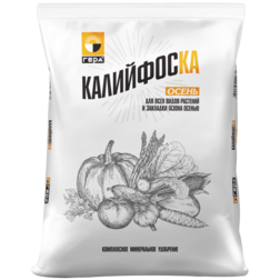 ����  ����� ���������� 1�� ����, ������ �� 137 ���