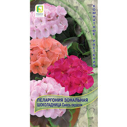 ����  ���������� ��������� ����������� ����� �������, ������ �� 178 ���