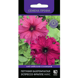 ����  ������� ����������� �������� ������ ���� (������ �����), ������ �� 72 ���