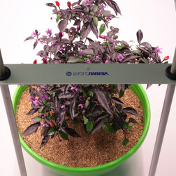 ����  ���������� ������������ �������� ������� �� ����������� 2�15/50/18/50, ������ �� 4900 ���