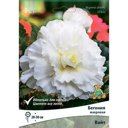 ����  ������� �������� ���� (1 ��.), ������ �� 207 ���