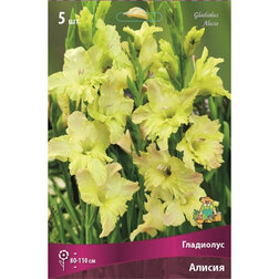 ����  ��������� ������ (5 ��.), ������ �� 314 ���