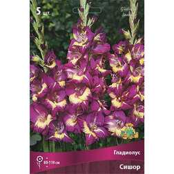 ����  ��������� ����� (5��), ������ �� 314 ���