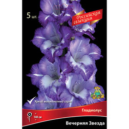 ����  ��������� �������� ������ (5 ��.), ������ �� 637 ���