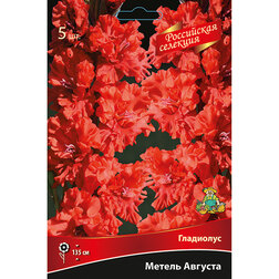 ����  ��������� ������ ������� (5��), ������ �� 637 ���