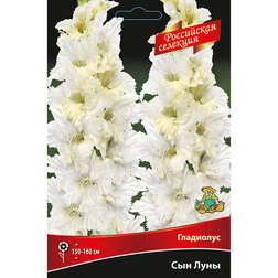 ����  ��������� ��� ���� (5��), ������ �� 595 ���