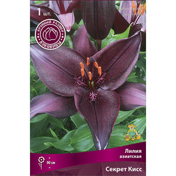 ����  ����� ��������� ������ ���� (1 ��.), ������ �� 263 ���