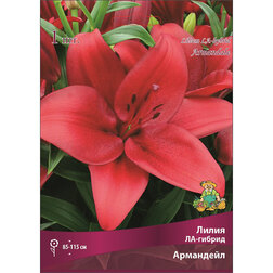 ����  ����� ��-������ ��������� (1 ��.), ������ �� 195 ���