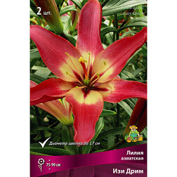 ����  ����� ��������� ��� ���� (2 ��.), ������ �� 438 ���