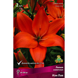 ����  ����� ��������� ��� ��� (2 ��.), ������ �� 438 ���