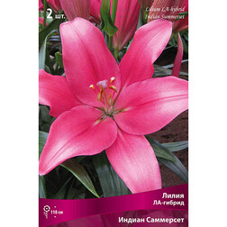 ����  ����� ��-������ ������ ��������� 2 ��., ������ �� 292 ���