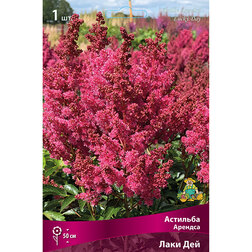 ����  �������� ������� ���� ���, ������ �� 360 ���