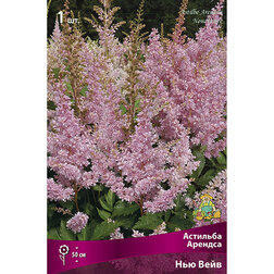 ����  �������� ������� ��� ����, ������ �� 360 ���