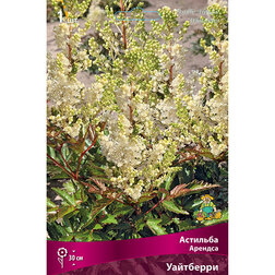 ����  �������� ������� ���������, ������ �� 328 ���