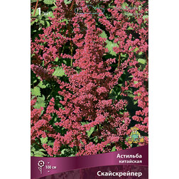 ����  �������� ��������� ������������, ������ �� 360 ���