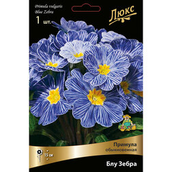 ����  ������� ������������ ��� �����, ������ �� 637 ���