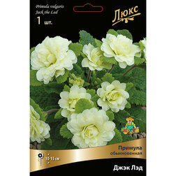 ����  ������� ������������ ���� ���*, ������ �� 697 ���