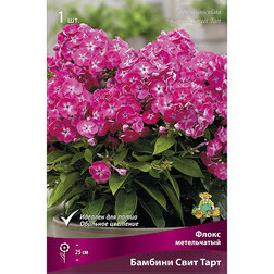 ����  ����� ����������� ������� ���� ����, ������ �� 348 ���