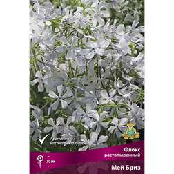 ����  ����� ������������� ��� ����, ������ �� 391 ���