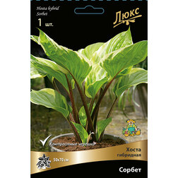 ����  ����� ��������� ������, ������ �� 402 ���