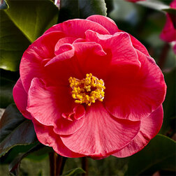 ����  ������� �������� ������ ����, ������ �� 824 ���