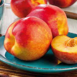 ����  �������� ���������� ����� (������ �����) (� �����), ������ �� 1143 ���