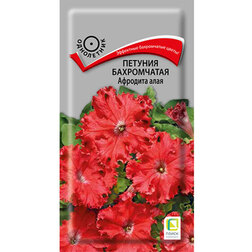 ����  ������� ����������� �������� ����, ������ �� 80 ���