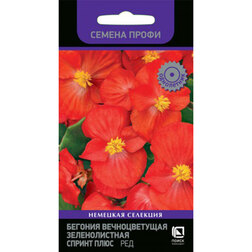 ����  ������� ������������� ������������� ������ ���� ��� (������ �����), ������ �� 51 ���