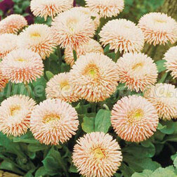 ����  ���������� ������� (1��-1000�����)����������������� ������, ������ �� 2160 ���