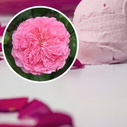 ����  ���� �������� ��� ������� (���������� �����), ������ �� 1579 ���