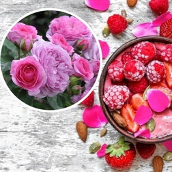 ����  ���� �����-��������� ���� ��� ������� (���������� �����), ������ �� 1579 ���