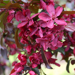 ����  ������ ������������ ������ (� �����), ������ �� 765 ���