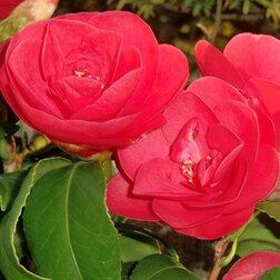 ����  ������� �������� ���� ���������, ������ �� 824 ���