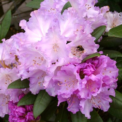 ����  ����������� ������������ �������� ������, ������ �� 935 ���