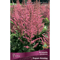 ����  �������� ��������� ����� ������, ������ �� 377 ���