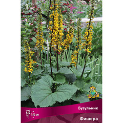 ����  ��������� ������, ������ �� 370 ���