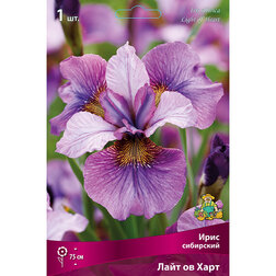 ����  ���� ��������� ���� �� ����, ������ �� 292 ���