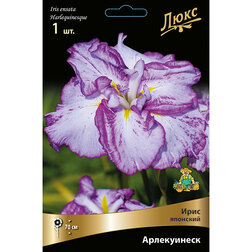 ����  ���� �������� �����������, ������ �� 467 ���