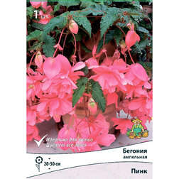 ����  ������� ��������� ���� (1��.), ������ �� 226 ���