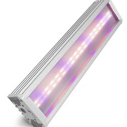 ����  ��������������� FitoLED PROFI 75 Combo (������ ������) 52 ��, ������ �� 10990 ���