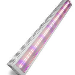 ����  ��������������� FitoLED PROFI 145 Combo (������ ������) 102 ��, ������ �� 17990 ���