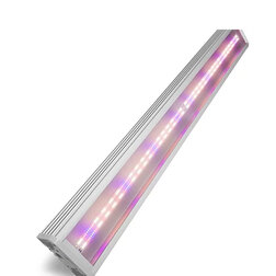 ����  ��������������� FitoLED PROFI 212 Combo (������ ������) 152 ��, ������ �� 25990 ���