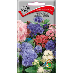 ����  �������� �������� ������, ������ �� 26 ���