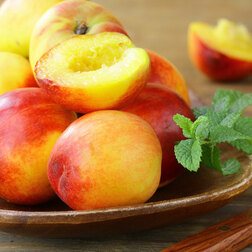 ����  �������� �������� (������ �����) (� �����), ������ �� 873 ���