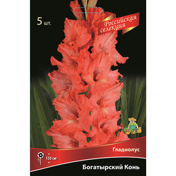 ����  ��������� ����������� ���� (5��.), ������ �� 688 ���