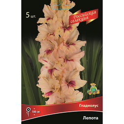 ����  ��������� ������ (5��.), ������ �� 637 ���