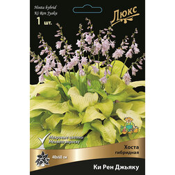 ����  ����� ��������� �� ��� ������, ������ �� 552 ���